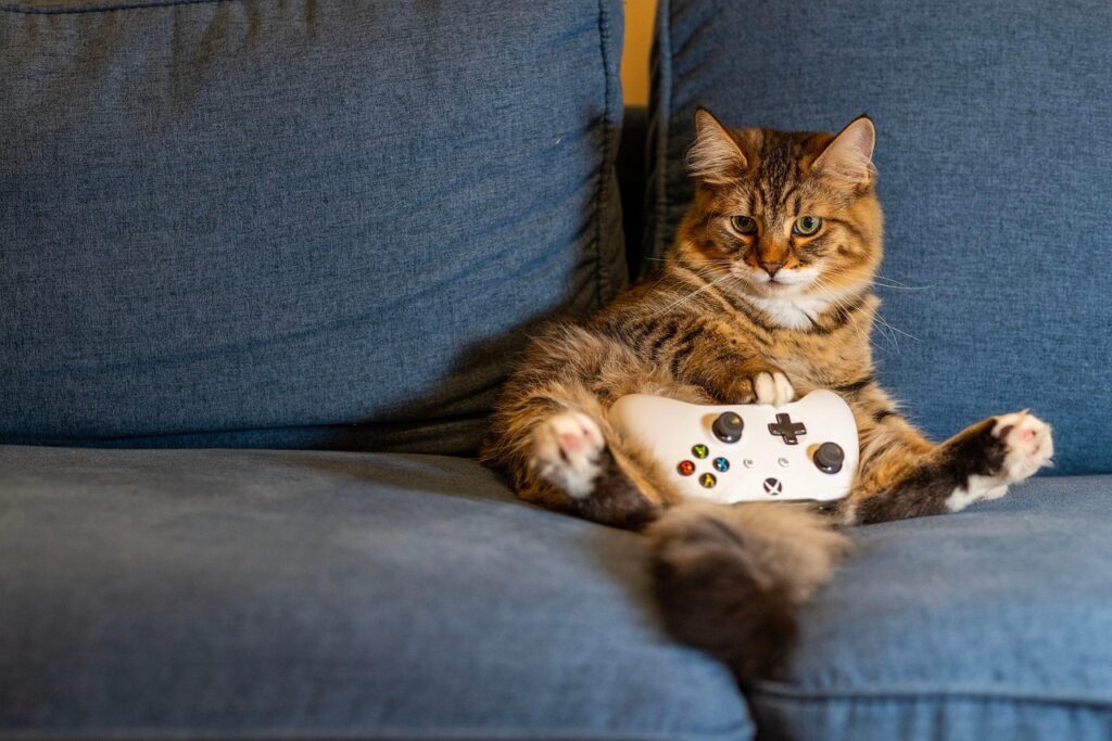 Za pravo gaming izkušnjo potrebujete kakovostno opremo, ki pa pride prav tudi za domačo pisarno.